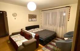 Apartament 2 camere semidecomandat, 47mp, Alexandru Vlahuta, Grigorescu