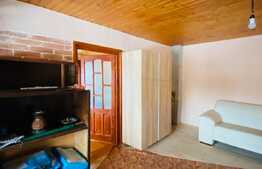 Casa individuala, 100 mp, 1000 mp teren, zona Autogarii