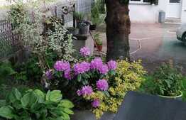 Casa de 200 mp utili, teren 773 mp, Exterior Est!