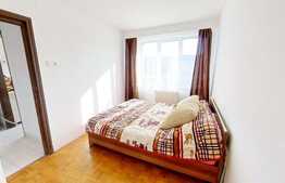 Apartament 2 camere decomandate, pet friendly, zona strazii Dacia