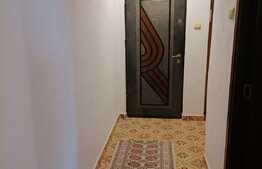 Apartament cu 2 camere, spatios si modern, cartier Astra!