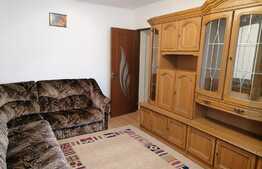 Apartament cu 2 camere, spatios si modern, cartier Astra!