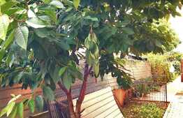 Casa individuala 250 mp utili, 715 mp teren, Someseni!