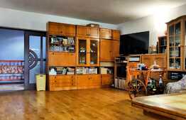 Casa individuala 250 mp utili, 715 mp teren, Someseni!