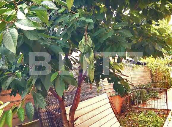 Casa de vânzare 5 camere Someseni - 60114CV | BLITZ Cluj-Napoca | Poza11