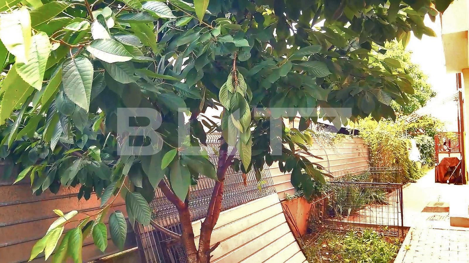 Casa de vânzare 5 camere Someseni - 60114CV | BLITZ Cluj-Napoca | Poza11