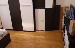 Apartament 1 camera, 31mp, la cheie, zona strazii Porii!