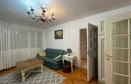 Apartament 2 camere, 50 mp, pet friendly, zona  Iulius Mall 