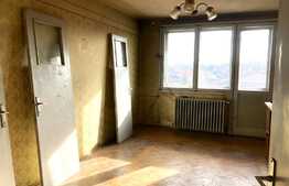 Apartament  cu 2 camere, spatios, zona Andrei Muresanu!