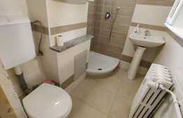 Apartament 2 camere, 40 mp, zona strazii Primaverii