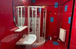 Apartament 1 camera, decomandat, 40 mp, pet friendly, zona strazii Huedinului