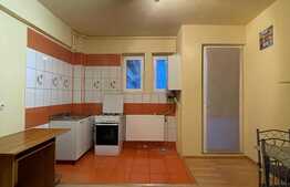 Apartament 1 camera, decomandat, 40 mp, pet friendly, zona strazii Huedinului