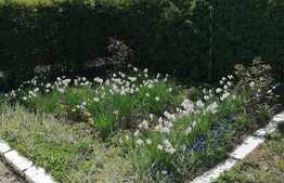 Apartament 3 camera, 78 mp, zona Noua