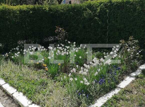 Apartament de vânzare 3 camere Noua - 60159AV | BLITZ Brașov | Poza9