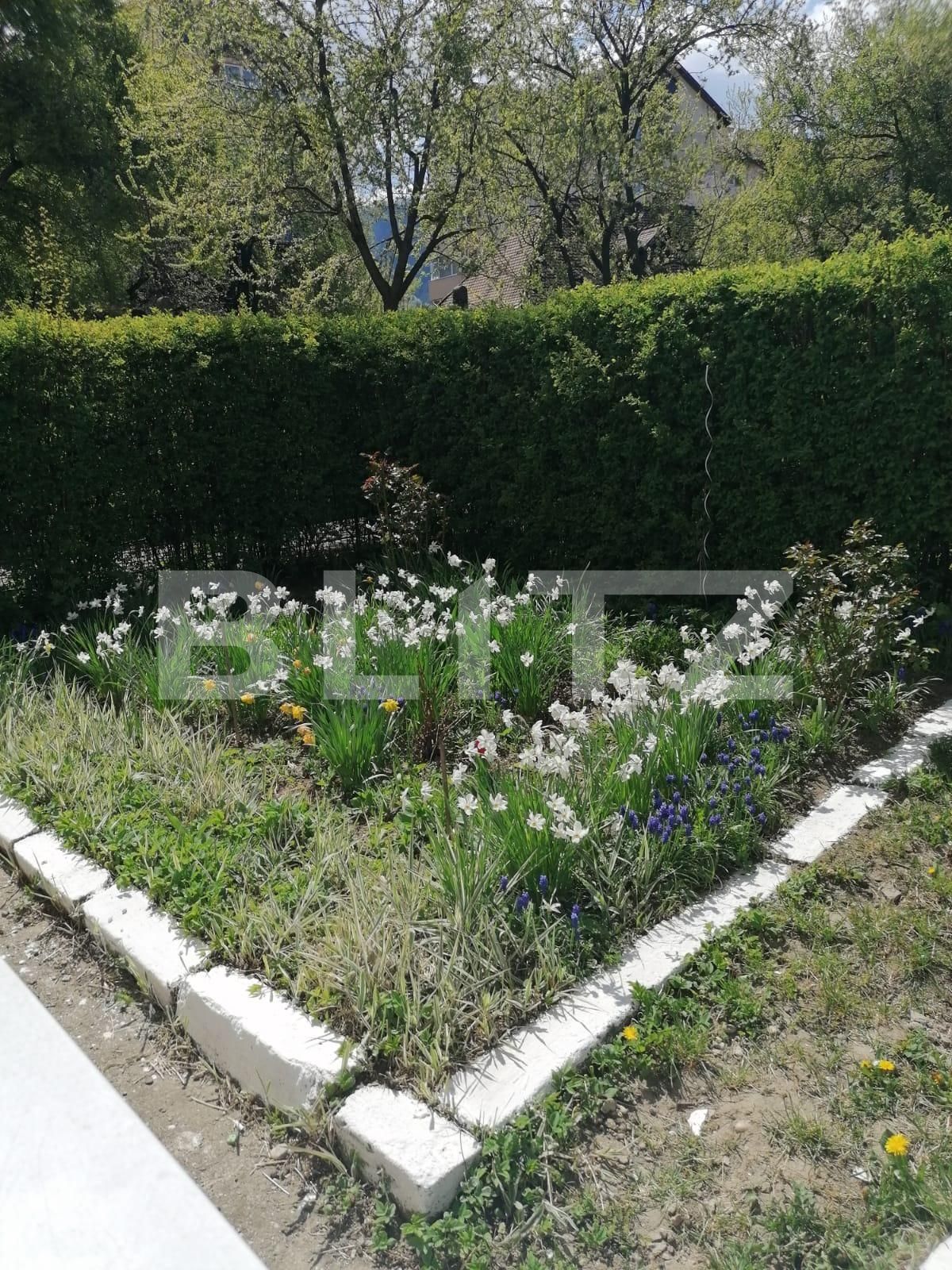 Apartament de vânzare 3 camere Noua - 60159AV | BLITZ Brașov | Poza9