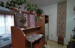 Apartament 2 camere, 43 mp, balcon 5 mp, etaj 1,zona Porii