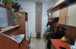 Apartament 2 camere, 43 mp, balcon 5 mp, etaj 1,zona Porii