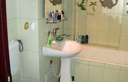 Inchiriere apartament cu 2 camere, 45 mp utili, zona Mc Donalds!