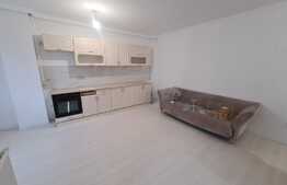 Apartament  2 camere , nou, modern, 44mp, balcon! Zona strazii Valea Garbaului!