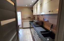 Apartament 2 camere, decomandat, 55 mp, pet friendly, zona P-ta Flora 