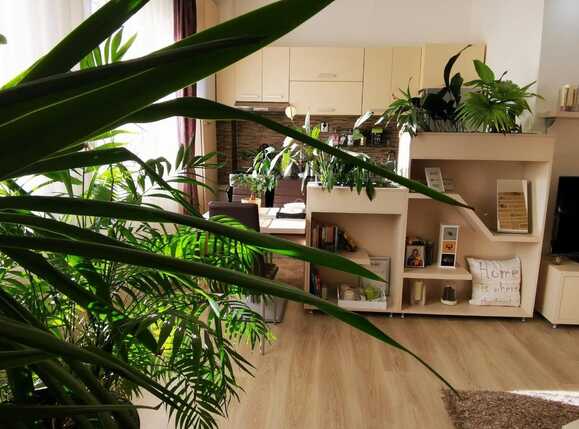 Apartament de vânzare 2 camere Marasti - 60349AV | BLITZ Cluj-Napoca | Poza5