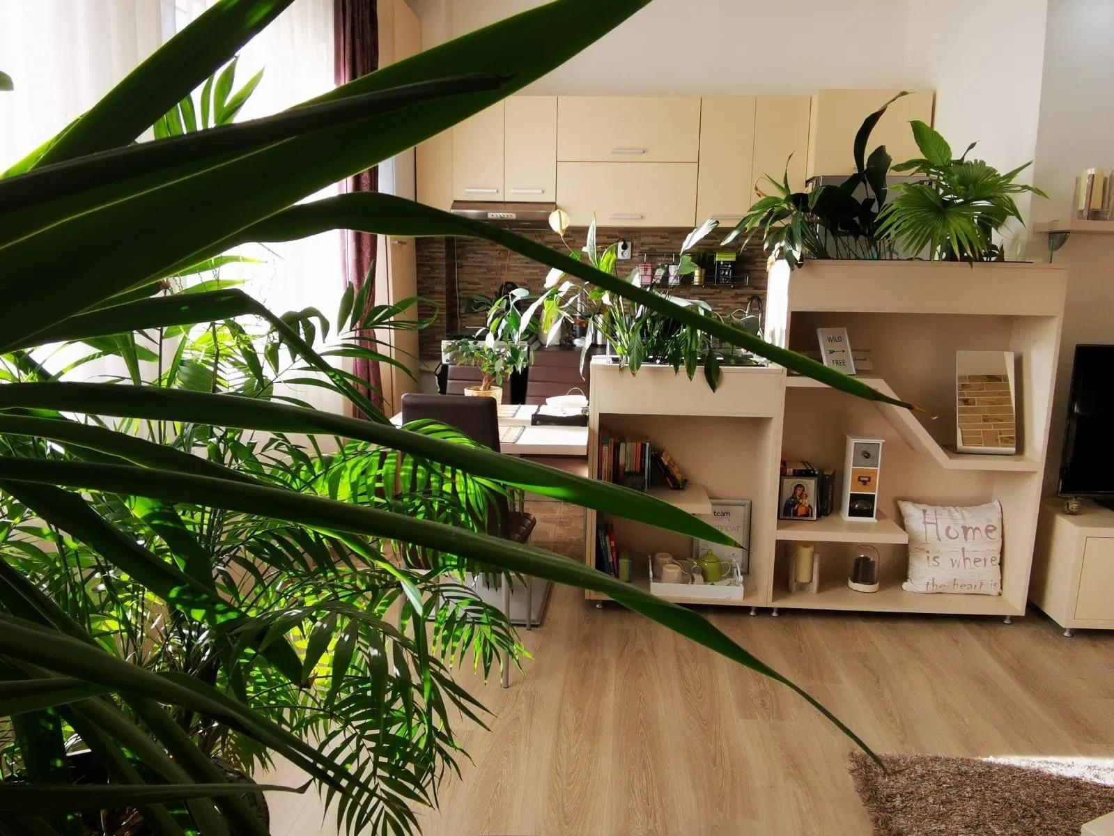 Apartament de vânzare 2 camere Marasti - 60349AV | BLITZ Cluj-Napoca | Poza5