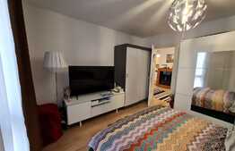 Apartament Ultracentral, 2 camere, modern/lux, Platinia