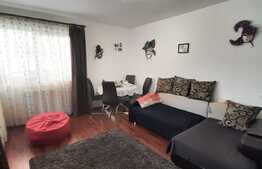 Oportunitate de investitie, preluare de chiriasi, decomandat, zona Florilor