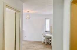 Apartament tip studio- Coresi