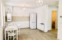 Apartament tip studio- Coresi