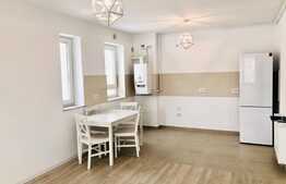 Apartament tip studio- Coresi