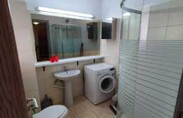 Apartament 2 camere decomandat 45mp, Dambul Rotund