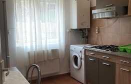 Apartament de inchiriat cu doua camere, 50 mp + 60 mp terasa, zona Platinia Calea Manastur