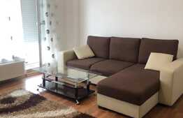 Apartament de inchiriat cu doua camere, 50 mp + 60 mp terasa, zona Platinia Calea Manastur