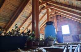 Casa individuala, 207 mp utili, 304 mp teren, zona linistita, acces facil