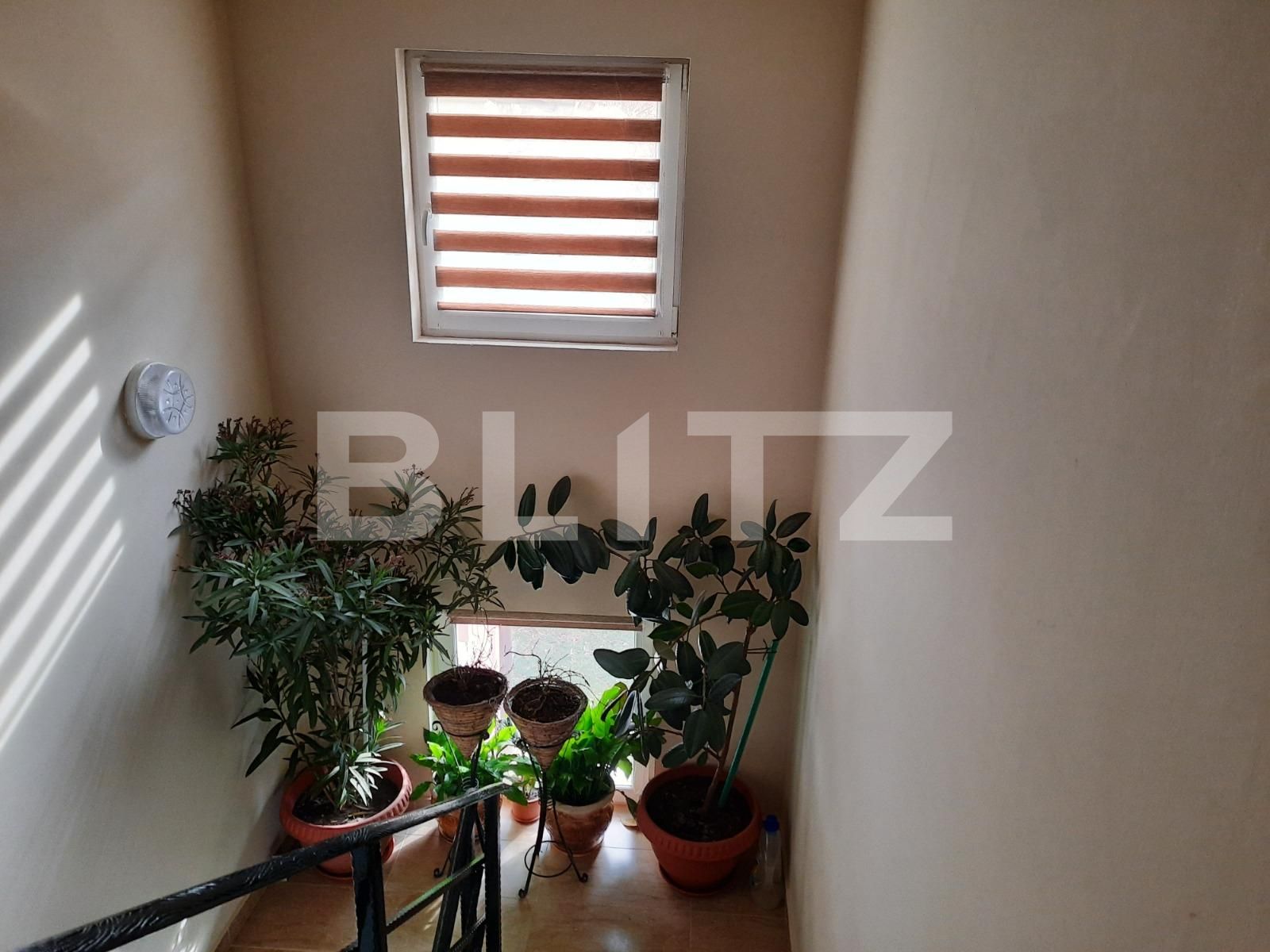 Casa de vânzare 4 camere Baciu - 60495CV | BLITZ Cluj-Napoca | Poza7