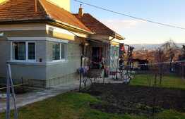 Casa individuala cu garaj si anexe, 86 mp utili, 667 mp teren, Dambul Rotund