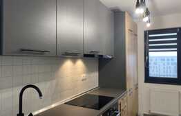 Apartament 2 camere mobilat modern, prima inchiriere, 52 mp, cartierul Borhanci