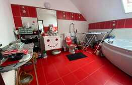  De vanzare penthouse 147 mp cu 4 camere, scara interioara, zona Vivo