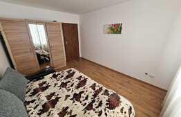 Apartament 3 camere, 70 mp, parcare, acces restricționat! Zona Tineretului