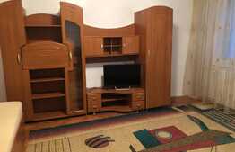 Apartament 1 camera, 45 mp, mobilat modern, zona strazii Observatorului 