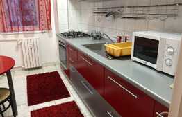 Apartament 1 camera, 45 mp, mobilat modern, zona strazii Observatorului 