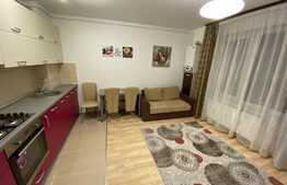 Apartament 2 Camere Avantgarden Tractoru