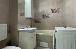 Apartament cu o camera, decomandat, mobilier modern, 32mp,  zona Big