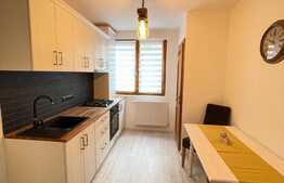 Apartamentul ideal pentru investitie!!! Zona strazii Horea