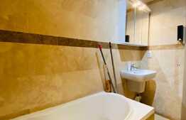 Penthouse, 85 mp utili, 50 mp terasa, garaj, zona Iulius Mall