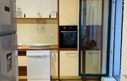 Penthouse, 85 mp utili, 50 mp terasa, garaj, zona Iulius Mall