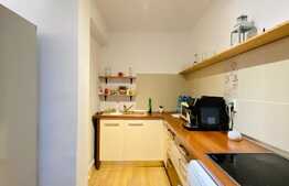 Penthouse, 85 mp utili, 50 mp terasa, garaj, zona Iulius Mall