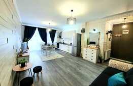 Apartament 2 camere elegant si cu bun gust! Zona Cetatii!