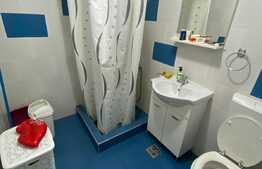 Vanzare 2 camere, 40 mp, pacare! Zona strazii Florilor!